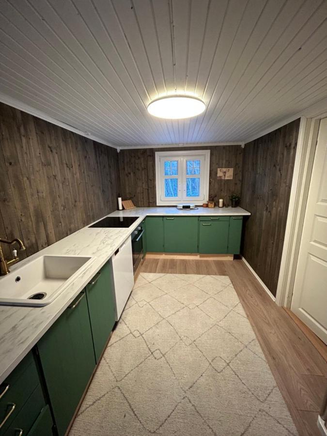 Beautiful Cabin By Mjosa. Villa Stange Bagian luar foto